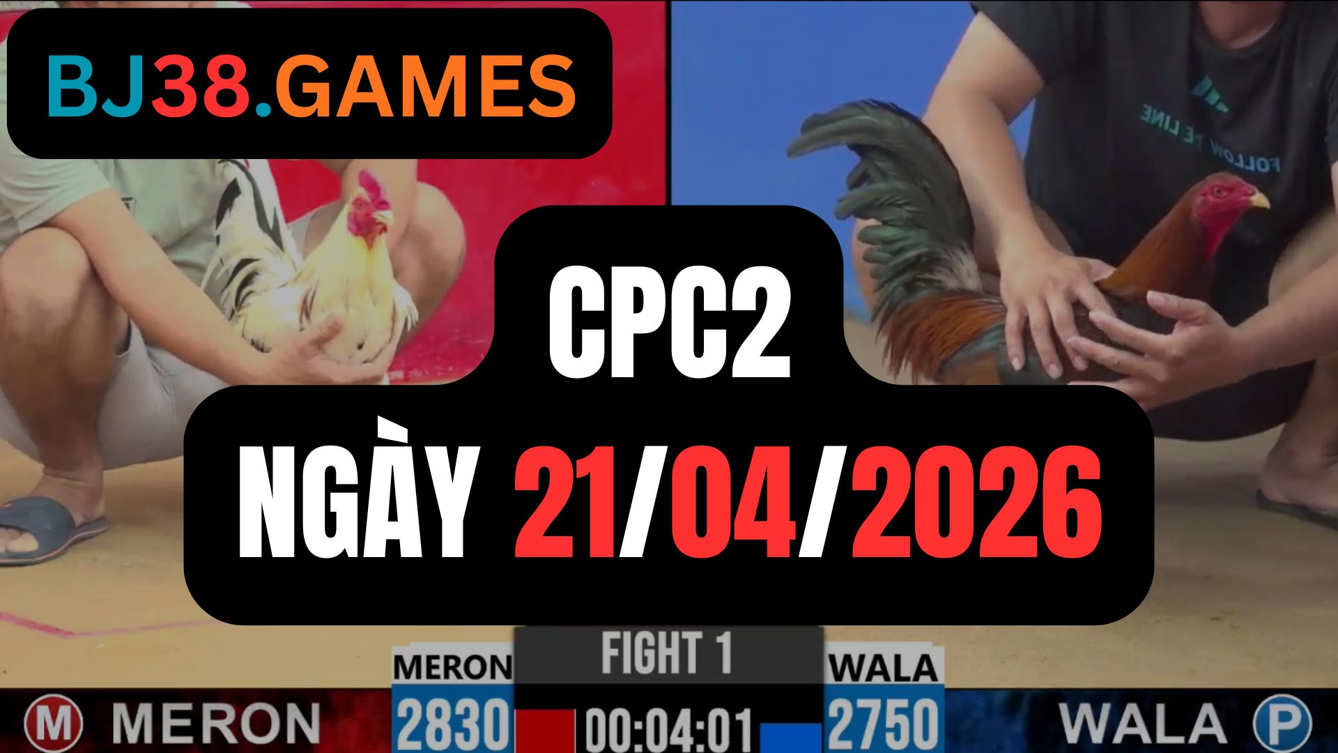 Đá gà thomo CPC2 ngày 21/04/2026