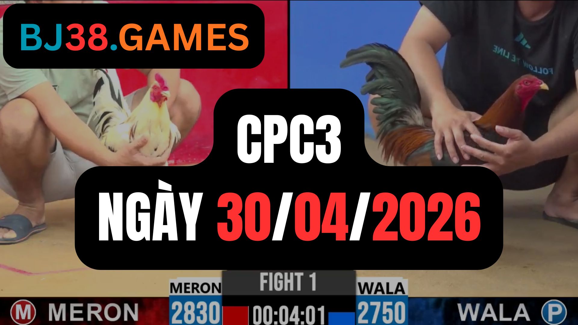 Đá gà thomo CPC2 ngày 28-06-2026