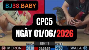 Đá gà thomo CPC5 ngày 01-06-2026