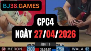 Đá gà thomo CPC4 ngày 27-04-2026