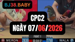 Đá gà thomo CPC2 ngày 07-06-2026