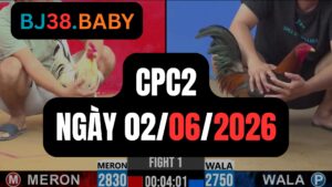 Đá gà thomo CPC2 ngày 02-06-2026