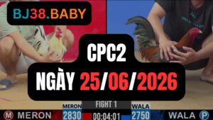 Đá gà thomo CPC2 ngày 25-06-2026