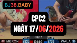 Đá gà thomo CPC2 ngày 17-06-2026