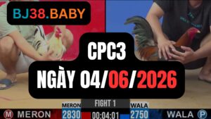 Đá gà thomo CPC3 ngày 04-06-2026