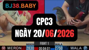 Đá gà thomo CPC3 ngày 20-06-2026