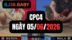Đá gà thomo CPC4 ngày 05-06-2026