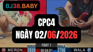 Đá gà thomo CPC4 ngày 02-06-2026