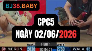 Đá gà thomo CPC5 ngày 02-06-2026