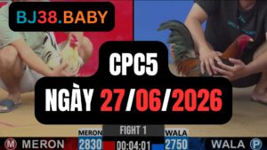 Đá gà thomo CPC5 ngày 27-06-2026