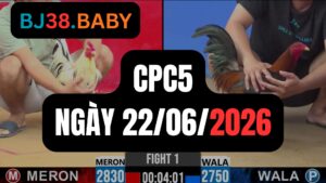 Đá gà thomo CPC5 ngày 22-06-2026