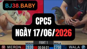Đá gà thomo CPC5 ngày 17-06-2026