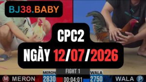 Video đá gà CPC2 Thomo hôm nay 12-07-2026