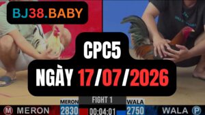Video đá gà CPC5 Thomo hôm nay 17-07-2026