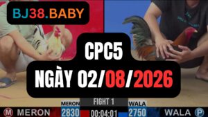 Video đá gà CPC5 Thomo hôm nay 02-08-2026