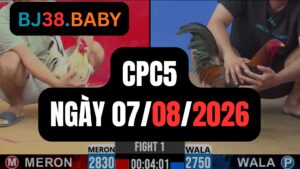 Video đá gà CPC5 Thomo hôm nay 07-08-2026